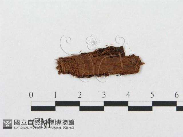 登錄號:F0016740藏品圖，第3張