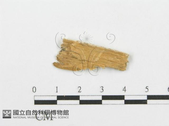 登錄號:F0005740藏品圖，第3張