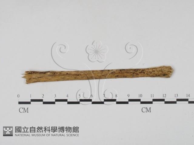 登錄號:F0011540藏品圖，第3張