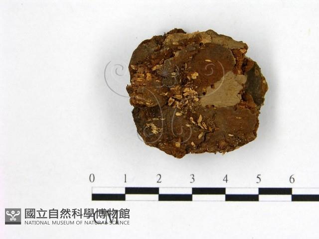 登錄號:F0006140藏品圖，第3張