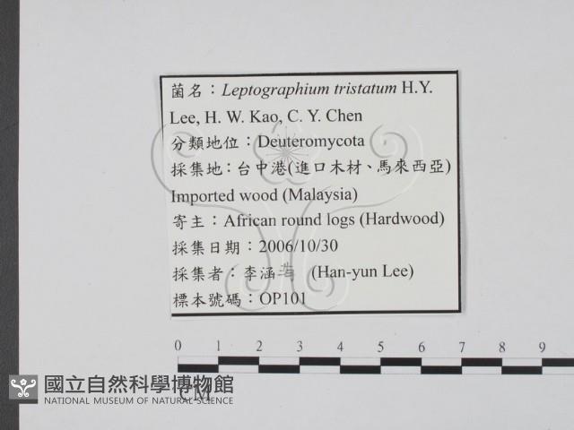 登錄號:F0022140藏品圖，第3張