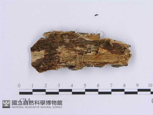 登錄號:F0017140藏品圖，第3張