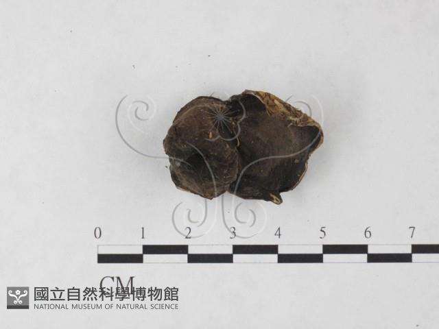 登錄號:F0024040藏品圖，第3張