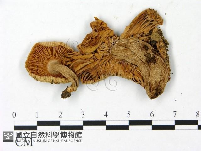 登錄號:F0023040藏品圖，第3張