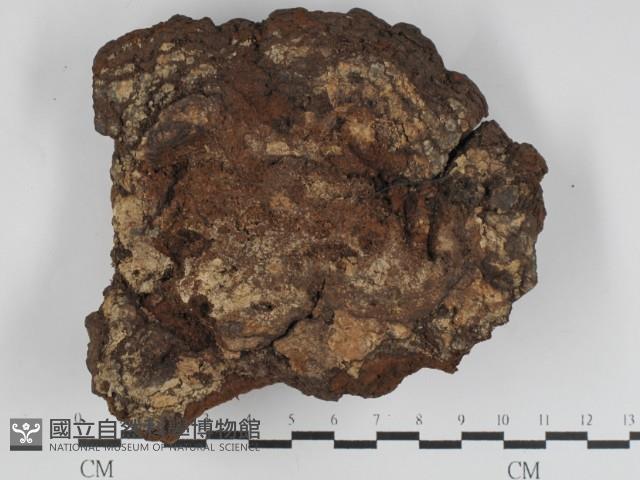 登錄號:F0031230藏品圖，第3張