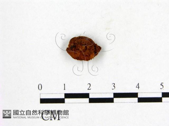 登錄號:F0004230藏品圖，第3張