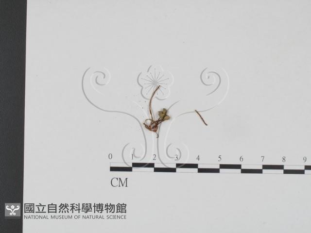 登錄號:F0005230藏品圖，第3張