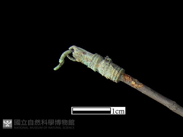 髮簪藏品圖，第3張