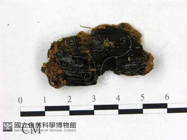 登錄號:F0006830藏品圖，第3張