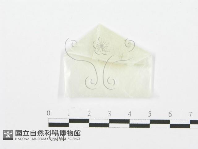 登錄號:F0002930藏品圖，第3張