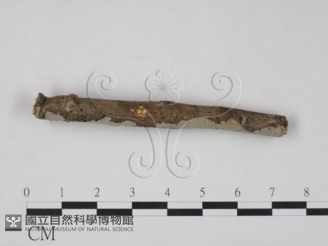 登錄號:F0012930藏品圖，第3張