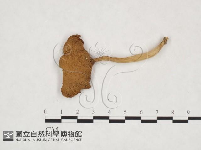 登錄號:F0025930藏品圖，第3張