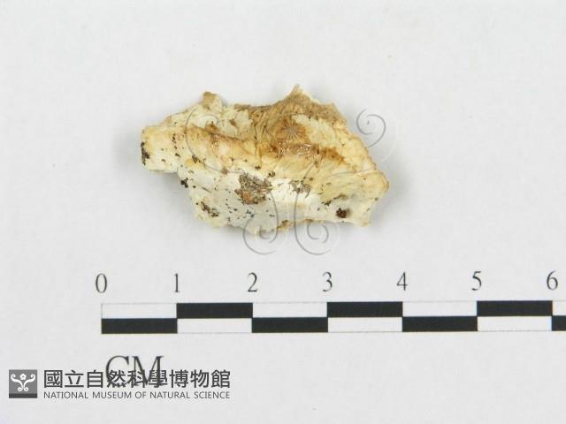 登錄號:F0005930藏品圖，第3張