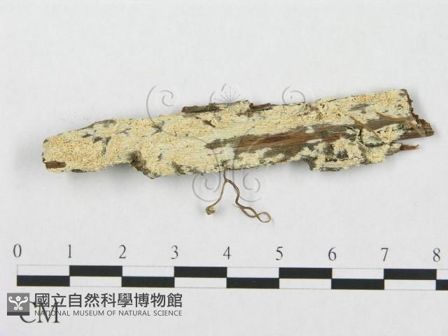登錄號:F0019930藏品圖，第1張