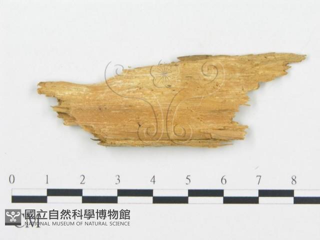 登錄號:F0013930藏品圖，第3張