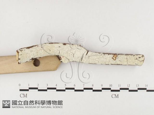 登錄號:F0026630藏品圖，第3張