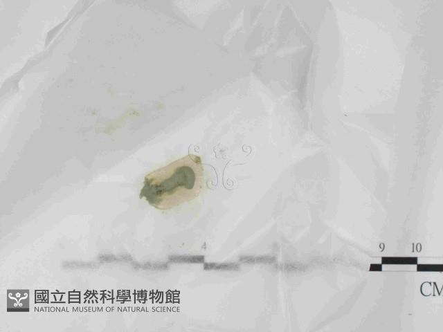 登錄號:F0021430藏品圖，第3張