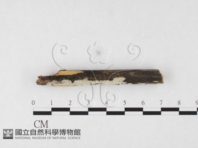 登錄號:F0026730藏品圖，第3張