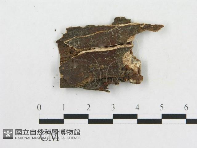 登錄號:F0016730藏品圖，第3張