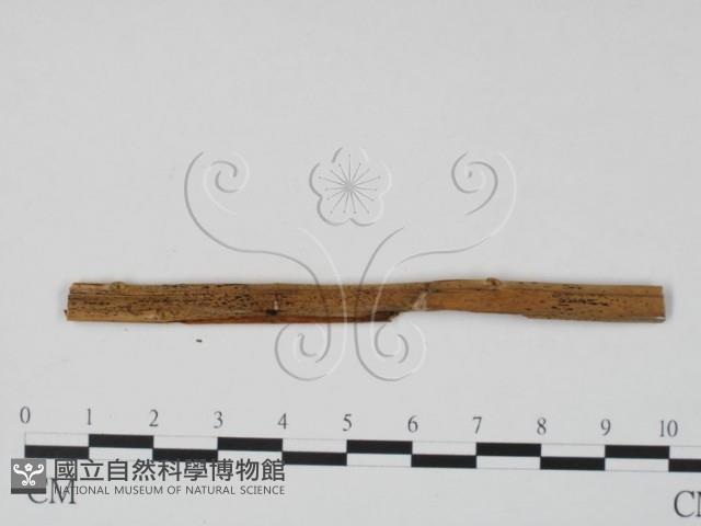 登錄號:F0011730藏品圖，第3張