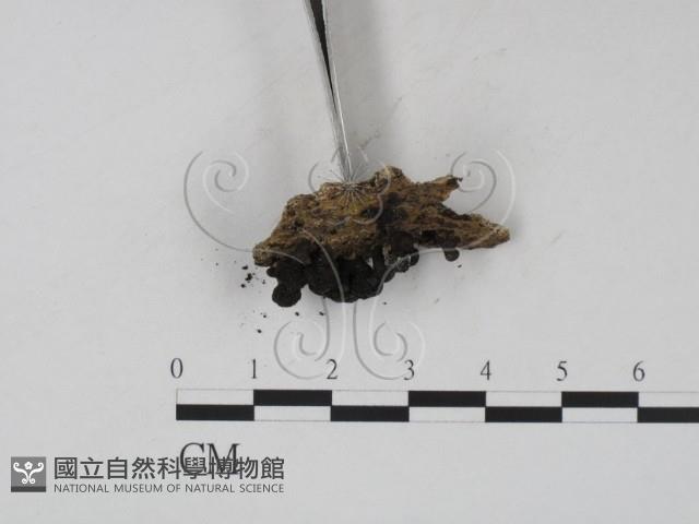 登錄號:F0007730藏品圖，第3張