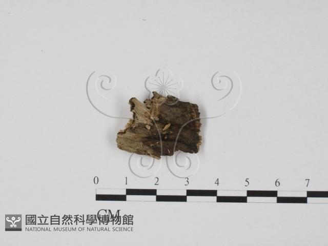 登錄號:F0015730藏品圖，第3張