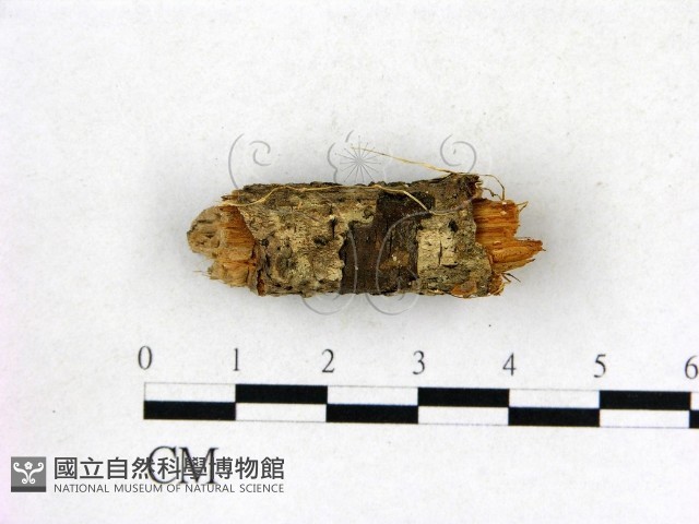 登錄號:F0010530藏品圖，第3張