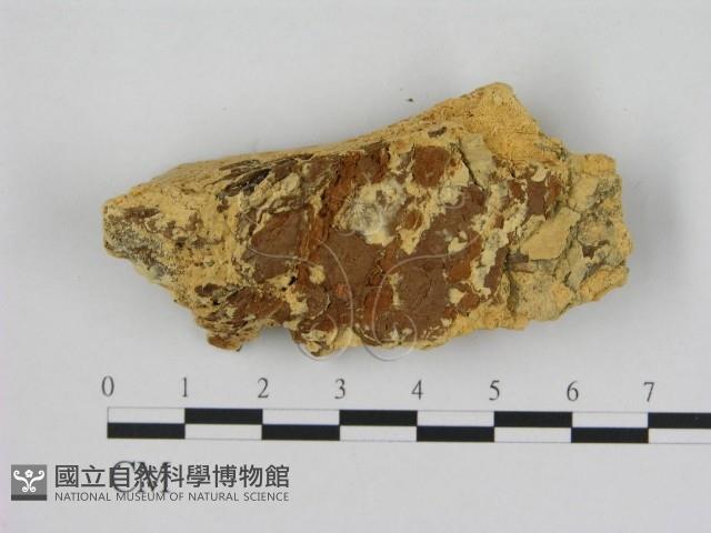 登錄號:F0006530藏品圖，第3張