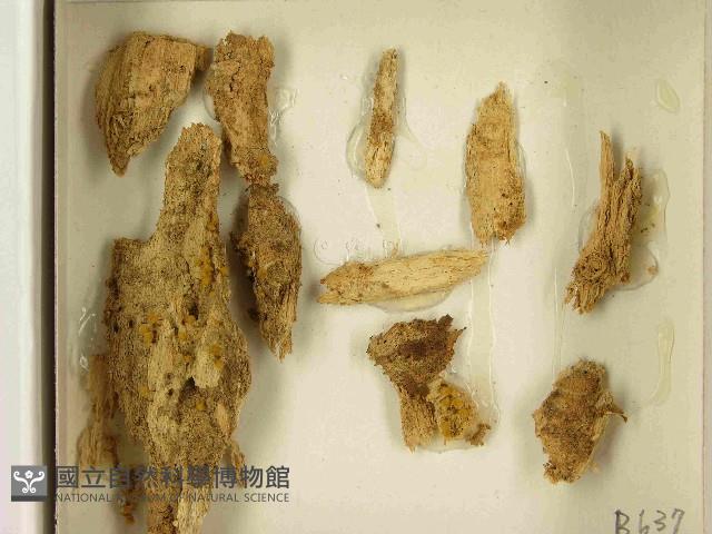 登錄號:F0021530藏品圖，第3張