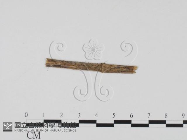 登錄號:F0011530藏品圖，第3張