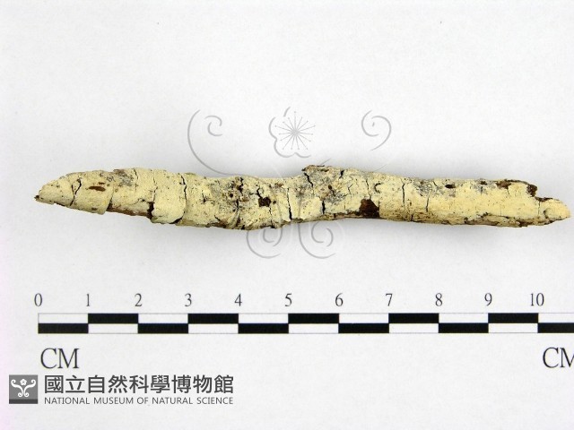 登錄號:F0022530藏品圖，第3張