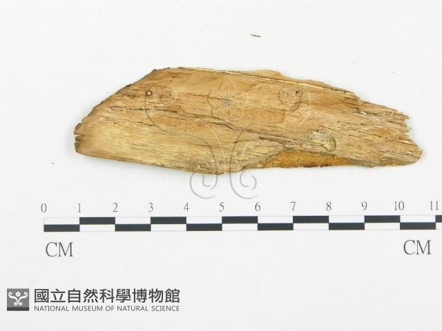 登錄號:F0014130藏品圖，第3張