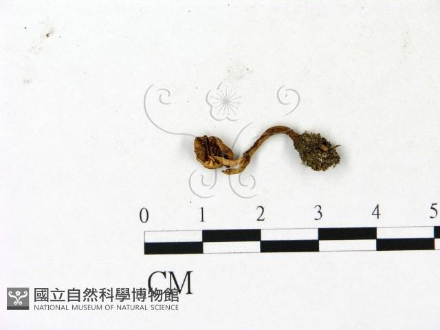 登錄號:F0023130藏品圖，第3張