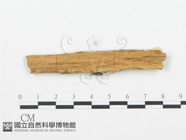 登錄號:F0006030藏品圖，第3張