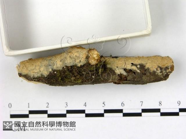 登錄號:F0001030藏品圖，第3張