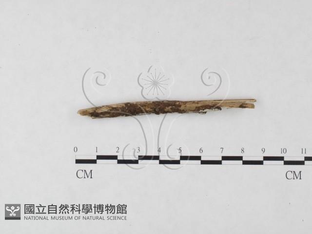 登錄號:F0009030藏品圖，第3張