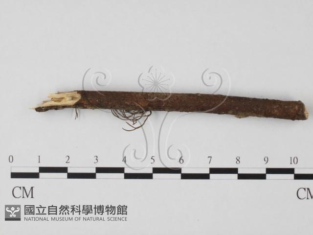 登錄號:F0000330藏品圖，第3張
