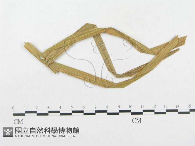 登錄號:F0019330藏品圖，第1張