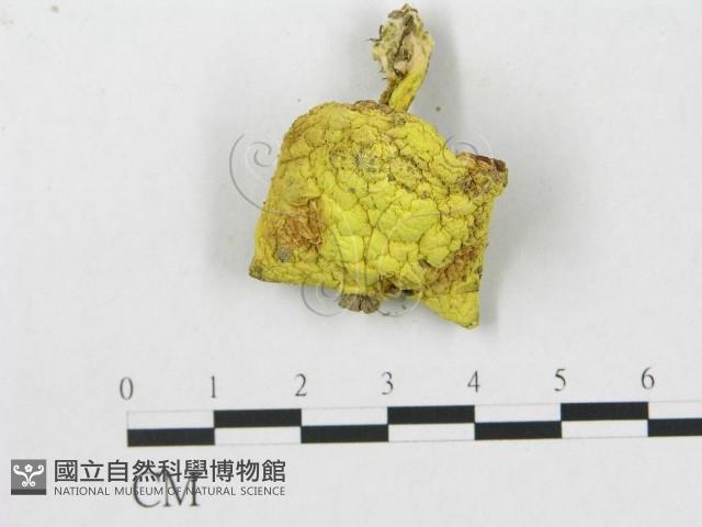 登錄號:F0003330藏品圖，第3張