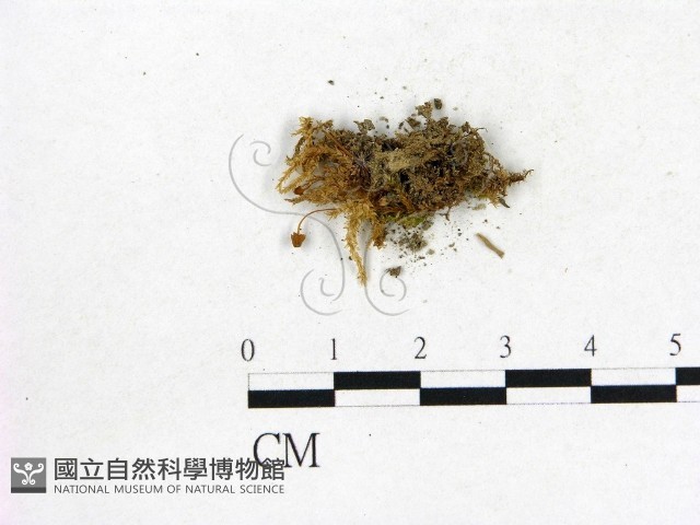 登錄號:F0010270藏品圖，第3張