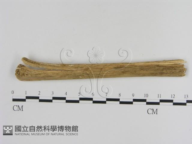 登錄號:F0007870藏品圖，第3張