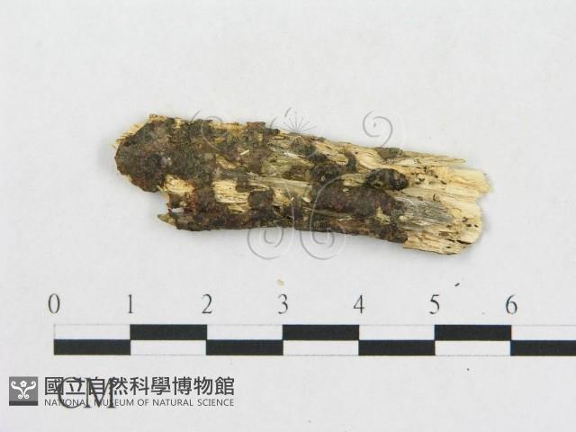 登錄號:F0008970藏品圖，第1張