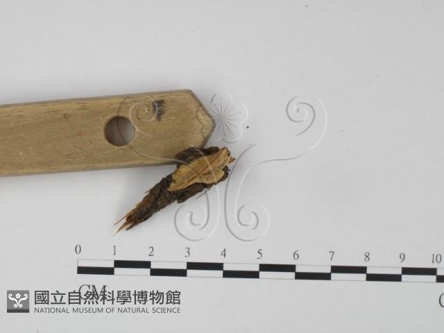 登錄號:F0019970藏品圖，第3張