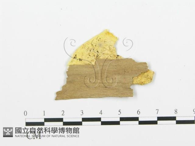 登錄號:F0006670藏品圖，第3張