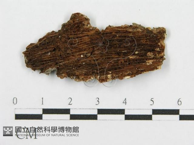 登錄號:F0016670藏品圖，第3張
