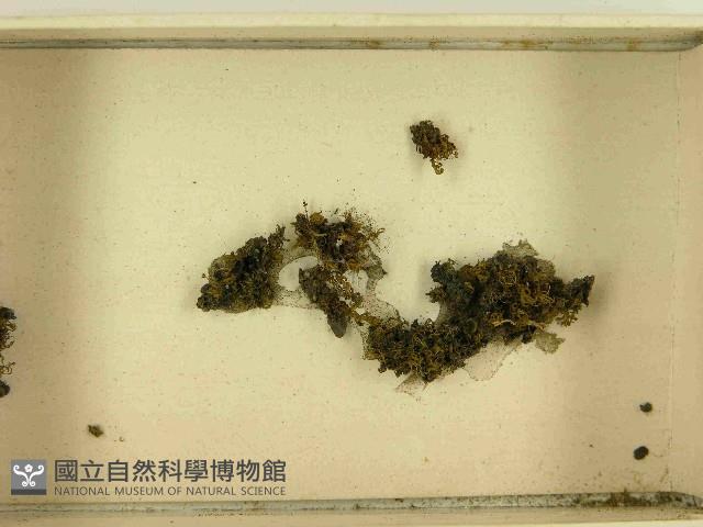 登錄號:F0021470藏品圖，第3張