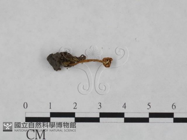 登錄號:F0023570藏品圖，第3張