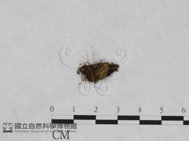 登錄號:F0020170藏品圖，第3張