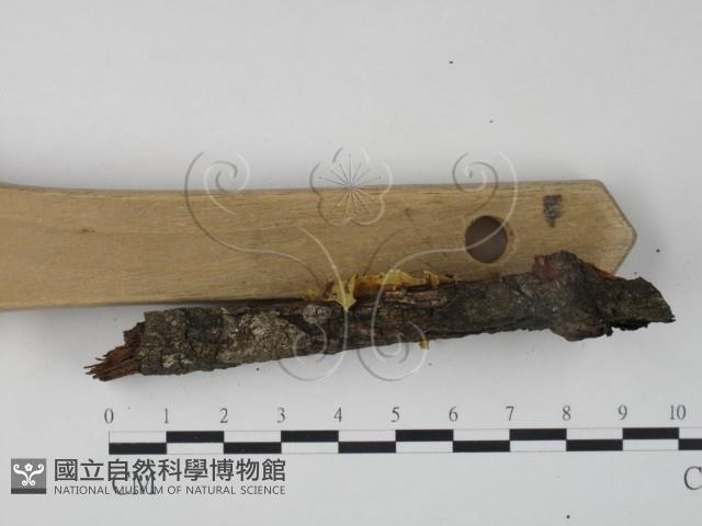 登錄號:F0000170藏品圖，第3張