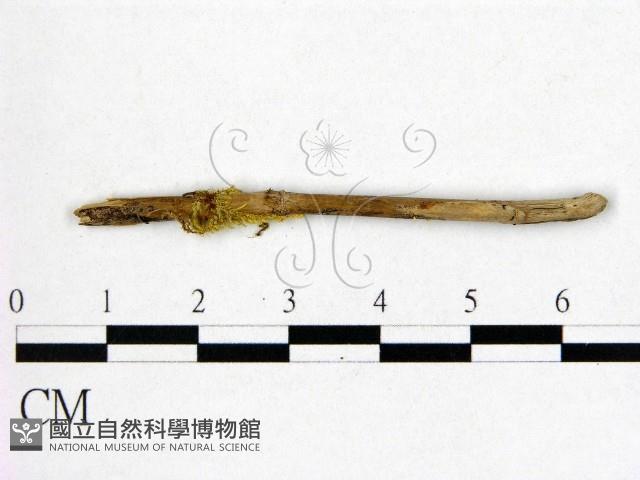登錄號:F0001170藏品圖，第3張